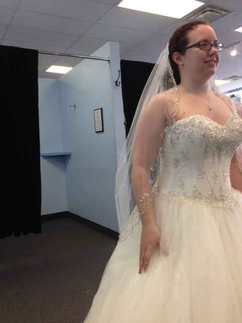 show me your veils