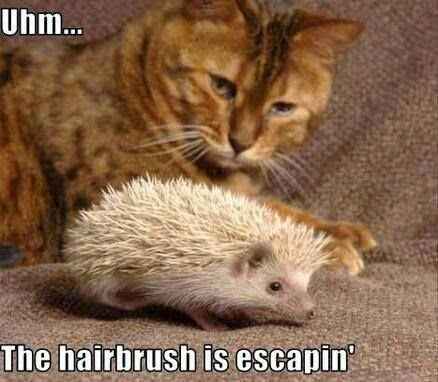 NWR: Randi - Made me think of you and Alice!