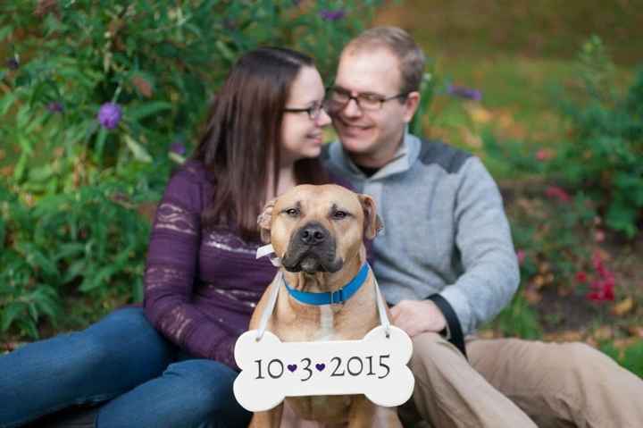 Adding puppy into wedding?