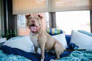 NWR: FH Loves Me Too Much (aka we're fostering!)