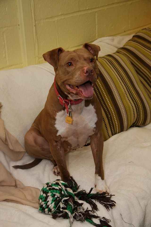 NWR: FH Loves Me Too Much (aka we're fostering!)