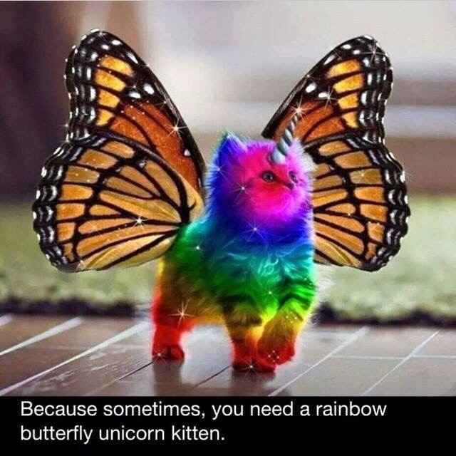 Winging It With Budget and Butterflies