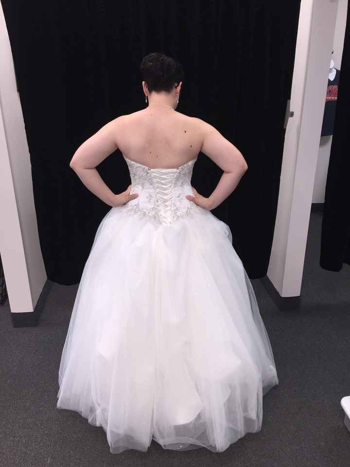 First Dress Fitting