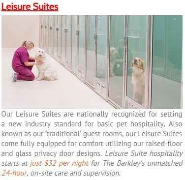 Pet Accommodations During the Honeymoon