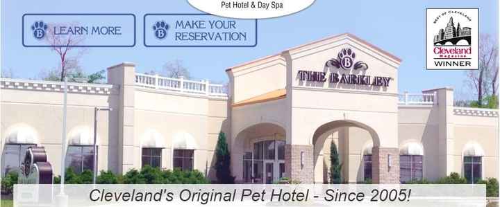 Pet Accommodations During the Honeymoon