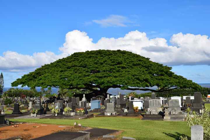 BAH - The Big Island of Hawaii