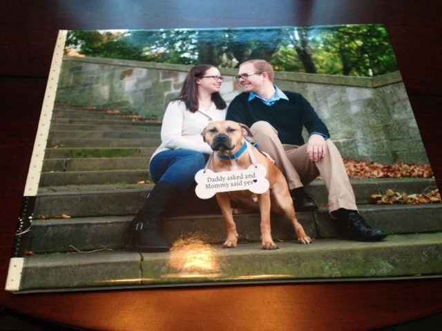 Picaboo Photo Books - Codes Available
