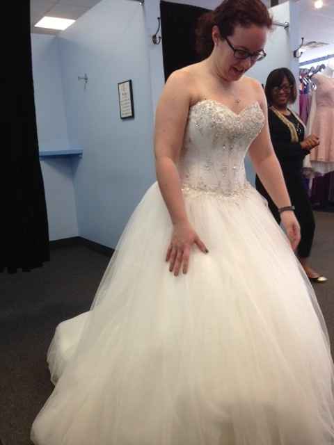 Bustle a tulle wedding dress sales