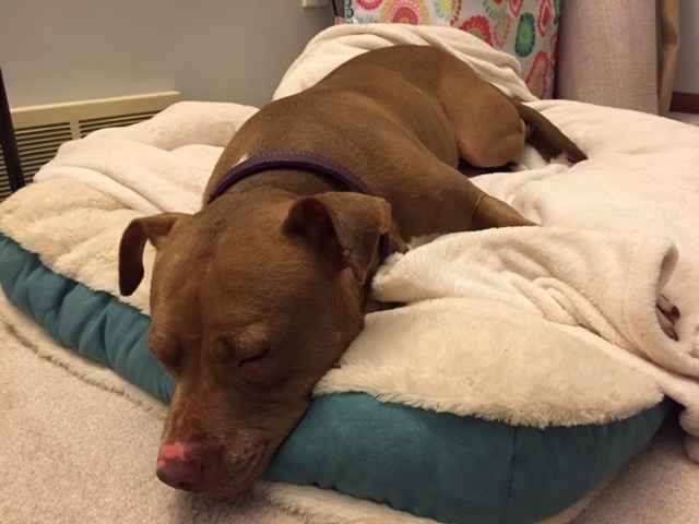 NWR:  Meet Annabelle!