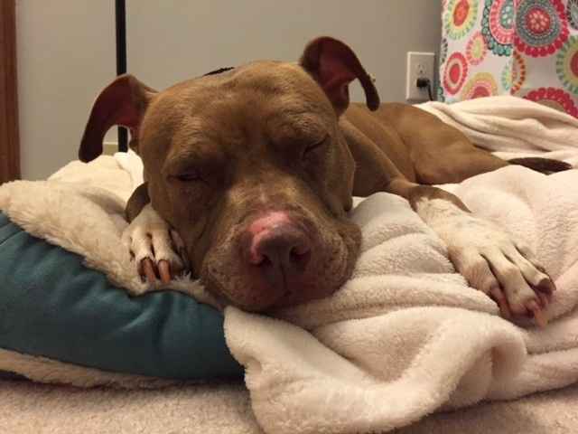 NWR:  Meet Annabelle!