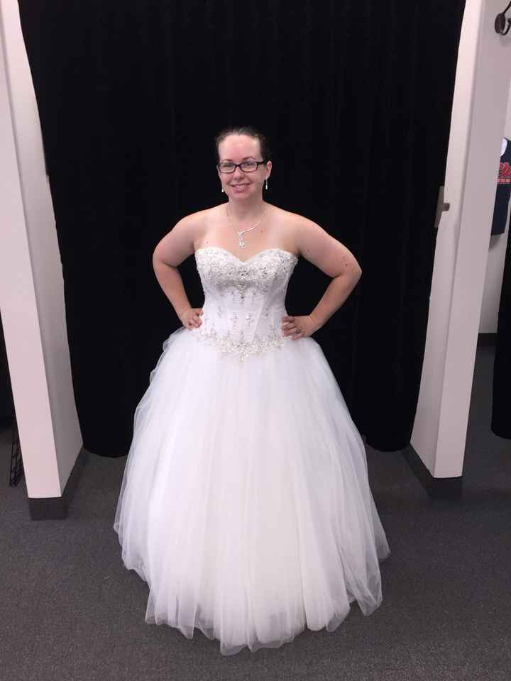 First Dress Fitting