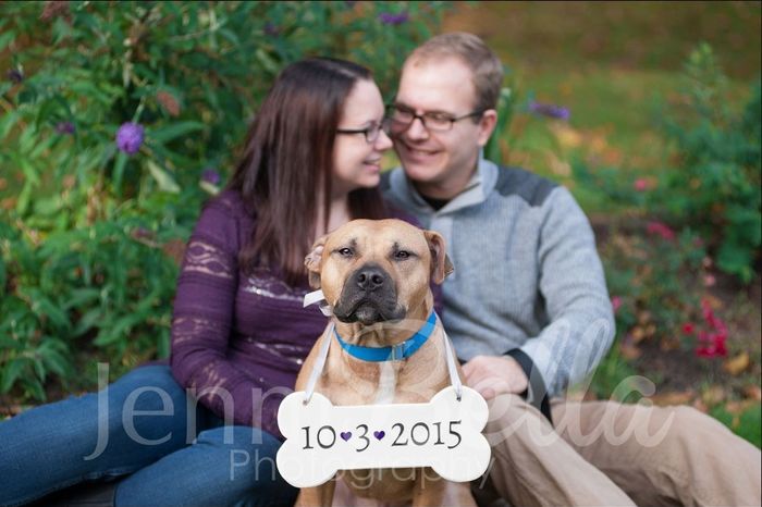 Which Pictures for STD?!