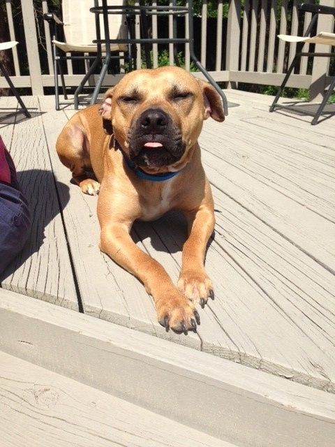 NWR...my fur baby passed and my FH was AMAZINGLY there for me.
