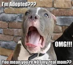 NWR: Mrs. A & J - This one's for you!!