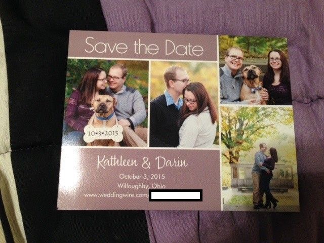 STD Magnet Brides