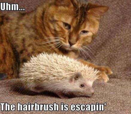 NWR: Randi - Made me think of you and Alice!