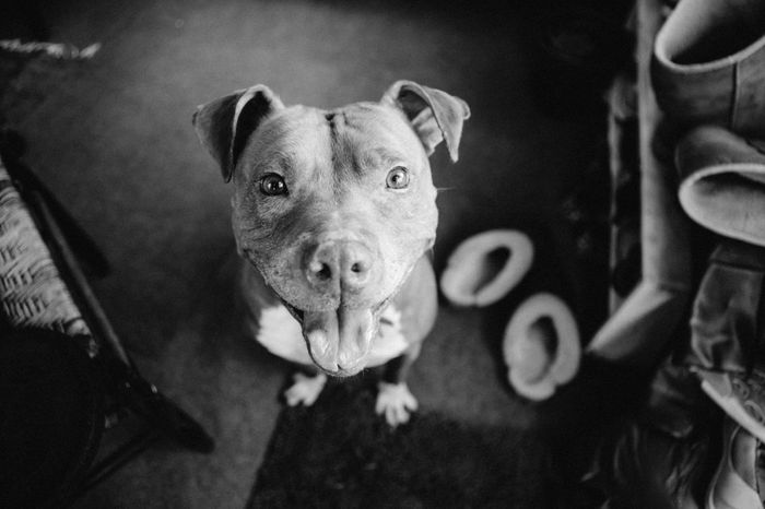 NWR: FH Loves Me Too Much (aka we're fostering!)
