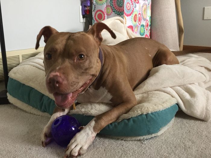 NWR:  Meet Annabelle!