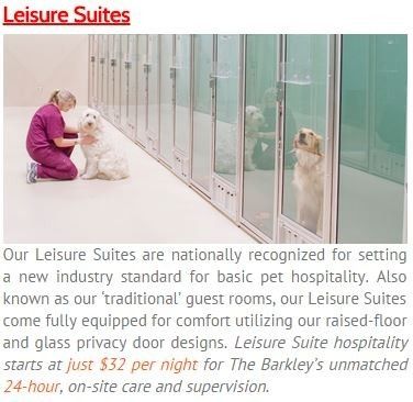 Pet Accommodations During the Honeymoon