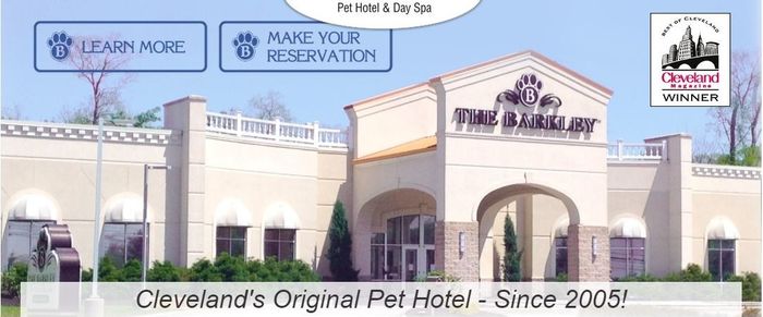 Pet Accommodations During the Honeymoon