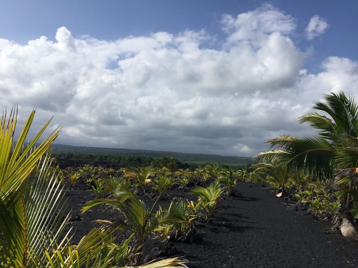 BAH - The Big Island of Hawaii