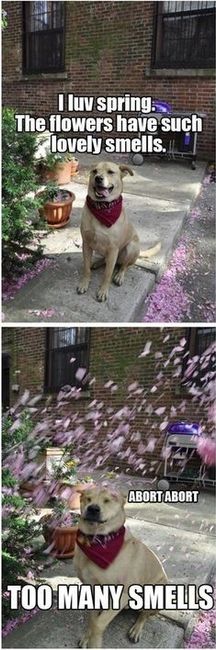 Spread some Happy!!!