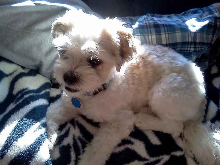 We've seen your rings, your dresses, your jewels.... show me your