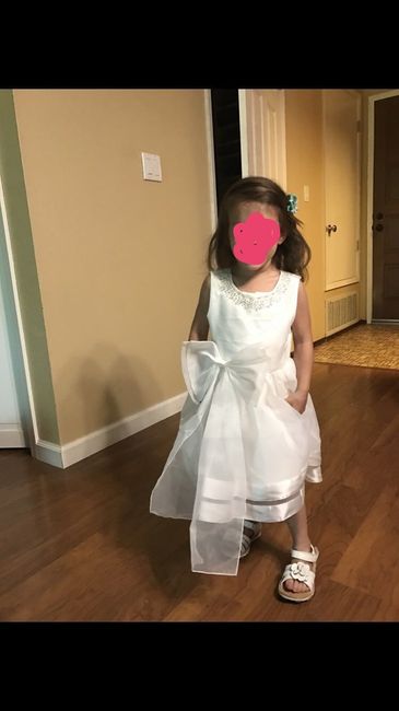 Need help finding flower girl dresses, reasonably priced.
