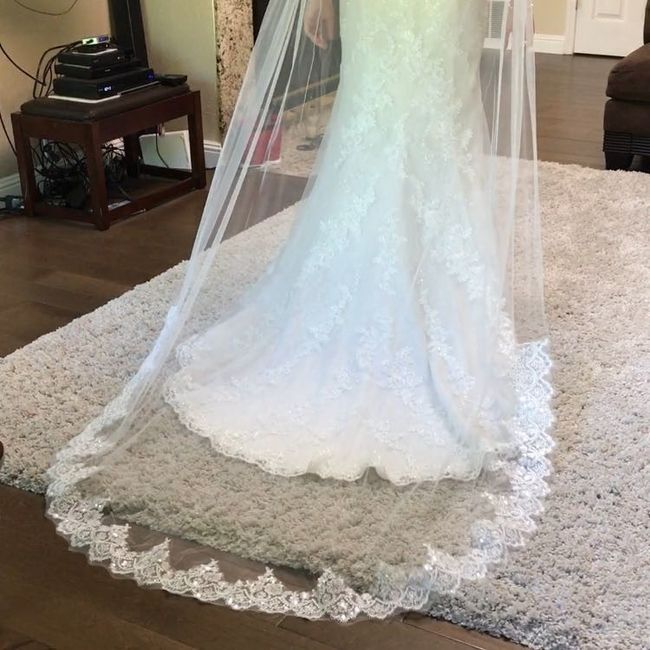 Show me your veils!