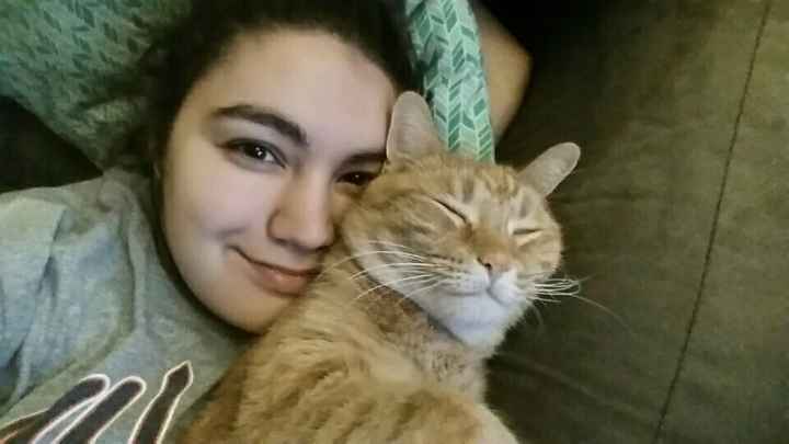 Selfies