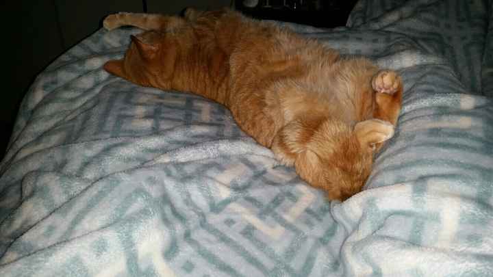 It's Fursday! Share the love!
