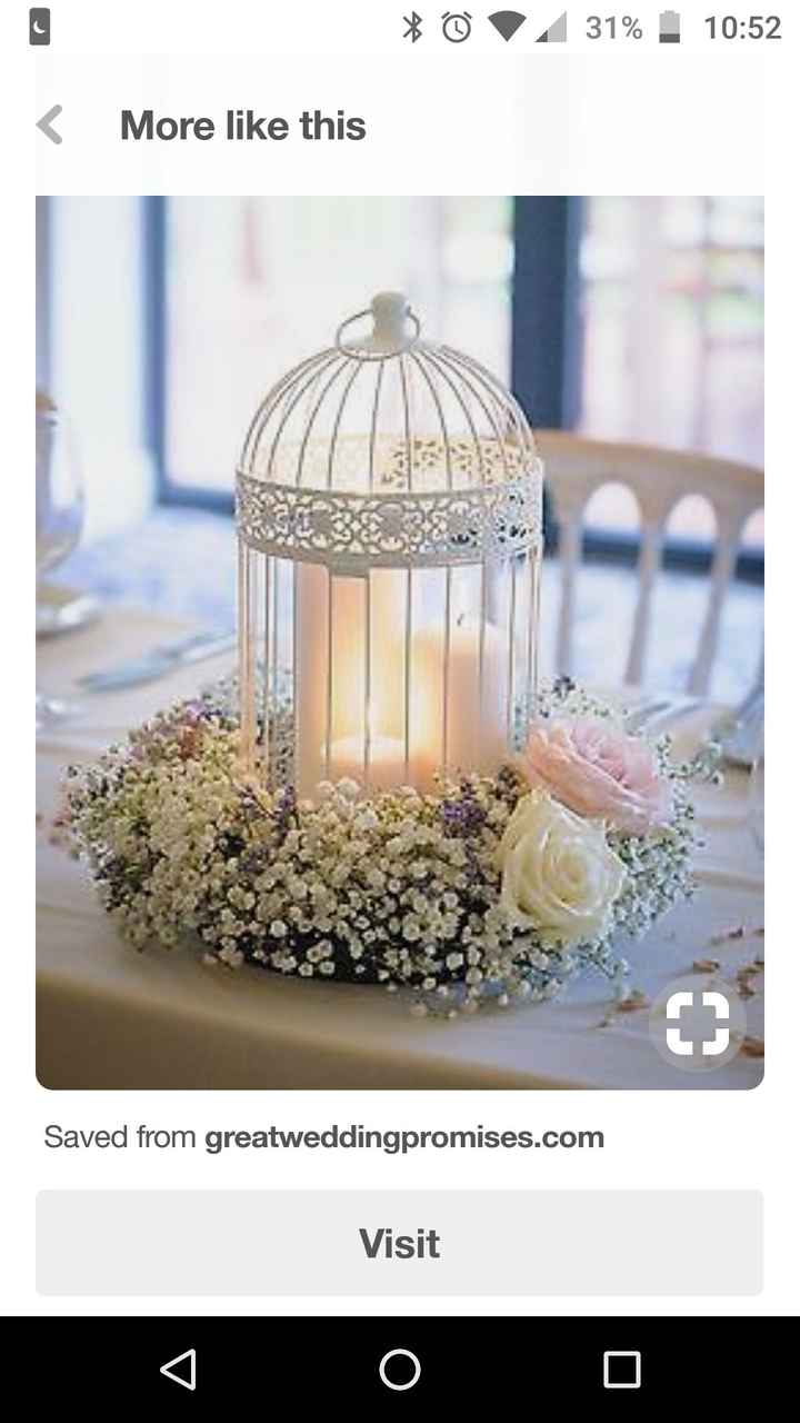 Bird cage again. - 1