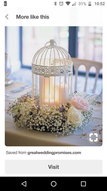 Bird cage again. - 1