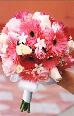 I made a decision regarding my flowers! Pic!