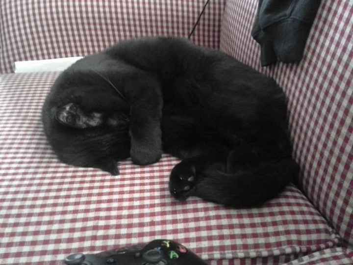 Just need to vent and cry a little