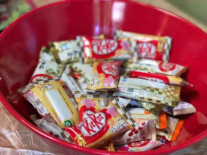 1st Fitting & BAS (Japanese Style!)