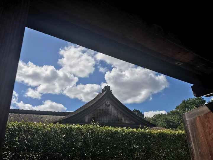 1st Fitting & BAS (Japanese Style!)