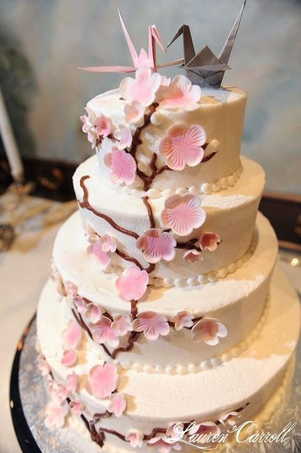 Cake cake cake . Show me your cake .