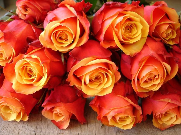 Boutonniere ideas?