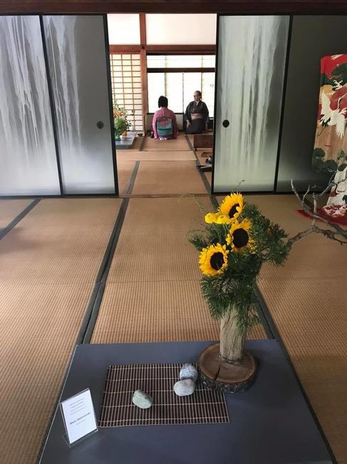 1st Fitting & BAS (Japanese Style!)