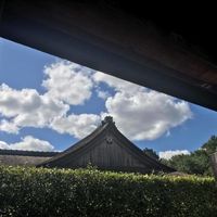 1st Fitting & BAS (Japanese Style!)