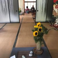 1st Fitting & BAS (Japanese Style!)