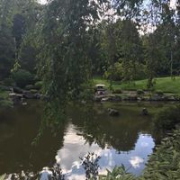 1st Fitting & BAS (Japanese Style!)