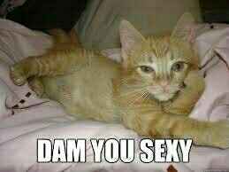 Guys, my boudoir shoot!