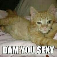 Guys, my boudoir shoot!