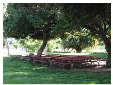 Where are my outdoor ceremony brides?