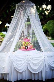 want my cake sans sticks and bugs :)
