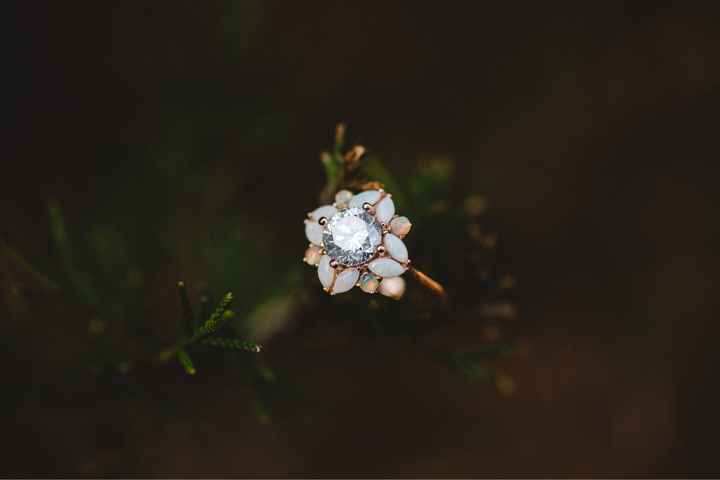 Did you pick your ring or were you completely surprised? - 1