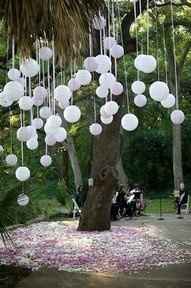 Park and Backyard Weddings...