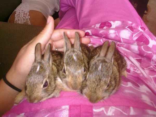 Be prepared to say "Awww..."